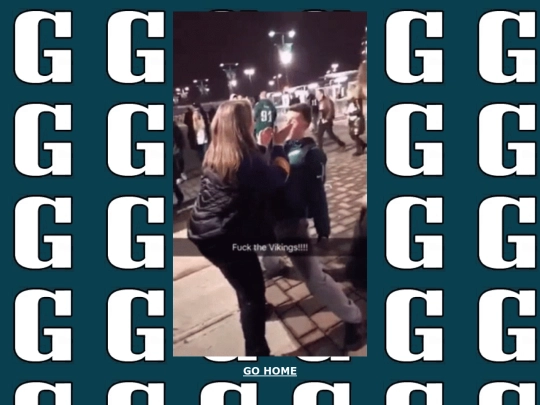 gobirds screenshot