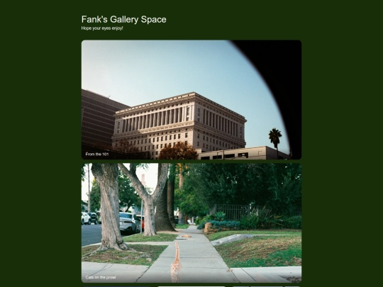LiveSite/Gallery screenshot