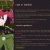 Home | Hatnbells! avatar