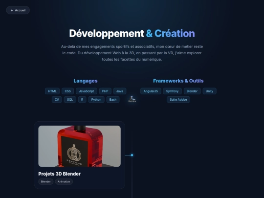 projets screenshot
