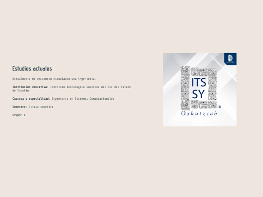 act31/estudios_realizados screenshot