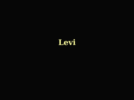 sys/levi screenshot