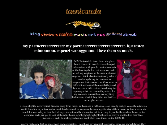 magna screenshot