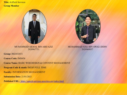webmaster screenshot