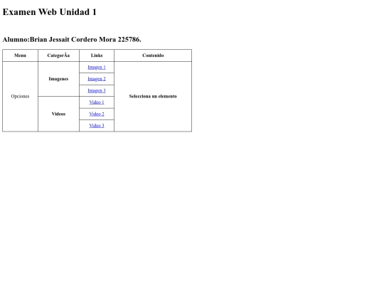 ExamenWeb1 screenshot