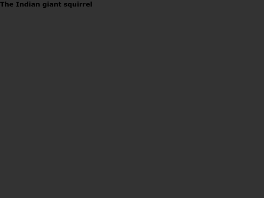 szanimals screenshot