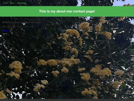 newpage screenshot