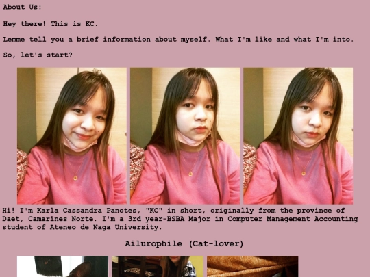 about_us screenshot
