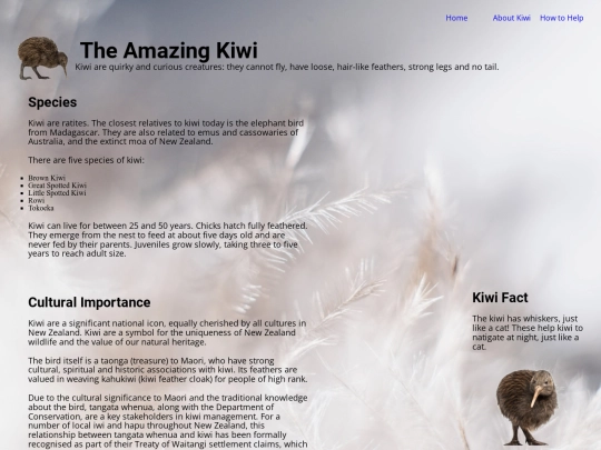 fan-site/about screenshot