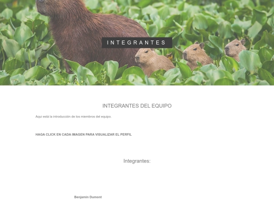 integrantes screenshot