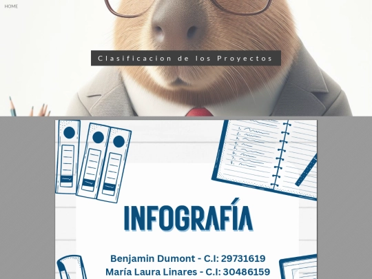 portafolios/3-Infografia screenshot