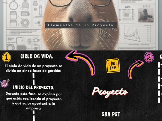 portafolios/4-Mapa-Mixto screenshot