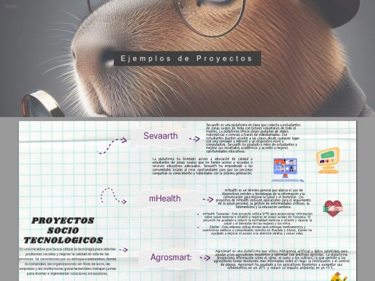 portafolios/5-Ejemplos-de-Proyectos screenshot