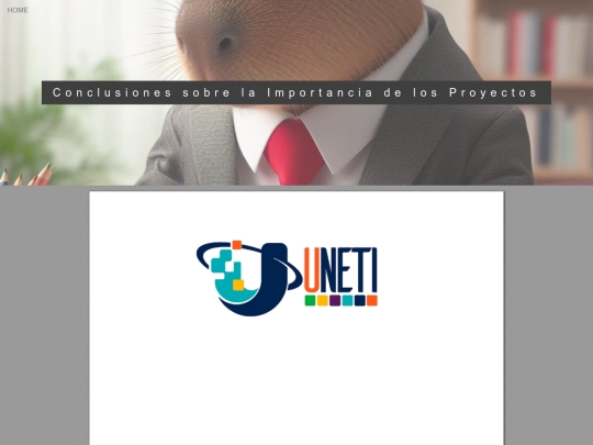 portafolios/6-Conclusiones screenshot