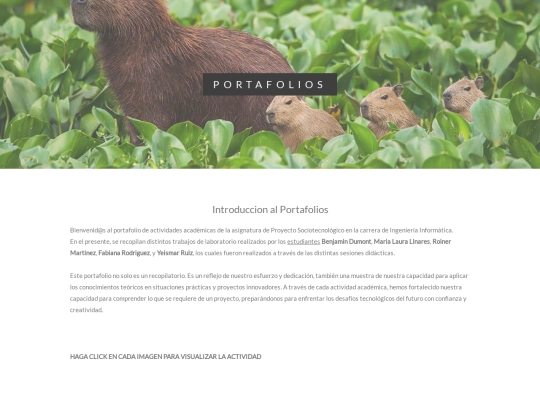 portafolios screenshot