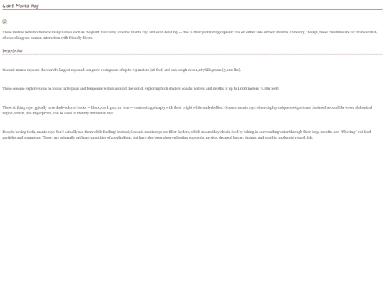 Stingray4 screenshot