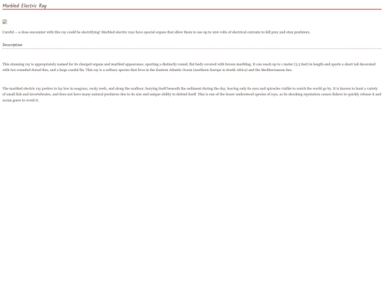 Stingray5 screenshot