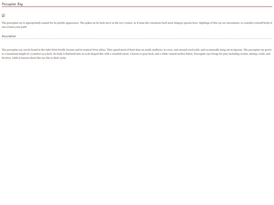 Stingray6 screenshot