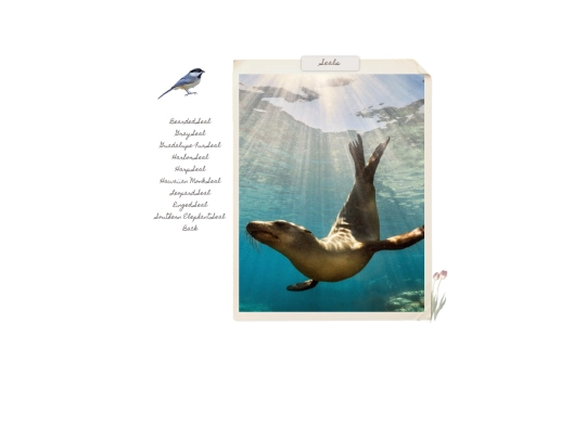 ocean11 screenshot