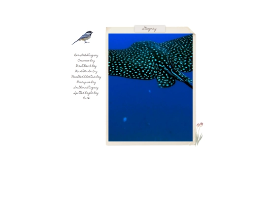ocean12 screenshot