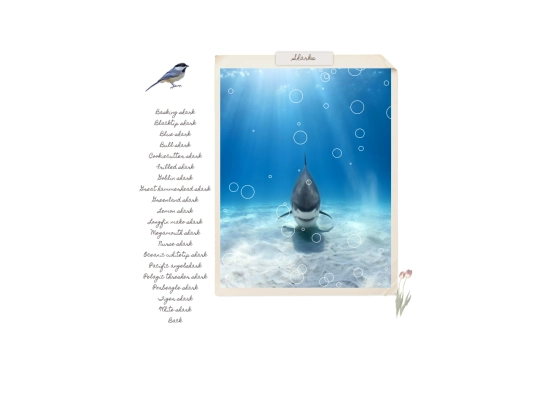ocean5 screenshot