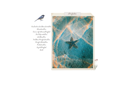 ocean6 screenshot