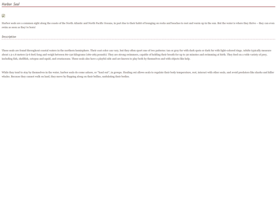 seal4 screenshot