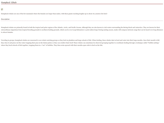 whale7 screenshot