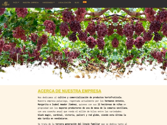 CHR pagina/acercadenosotros screenshot