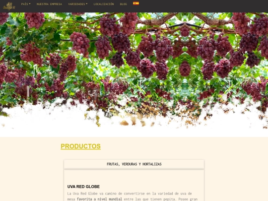 CHR pagina/productos screenshot