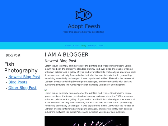 BS5_blog screenshot