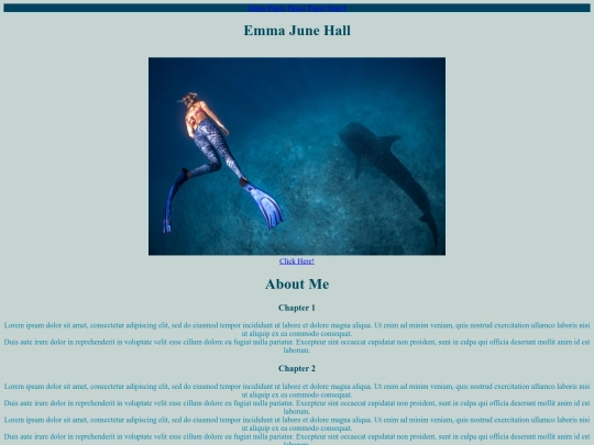 myfirstwebsite screenshot