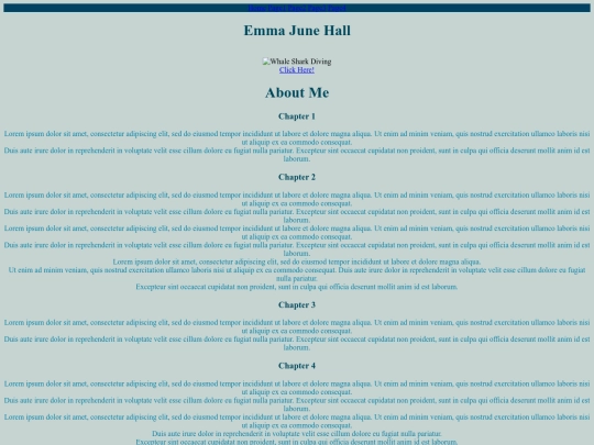 page4 screenshot