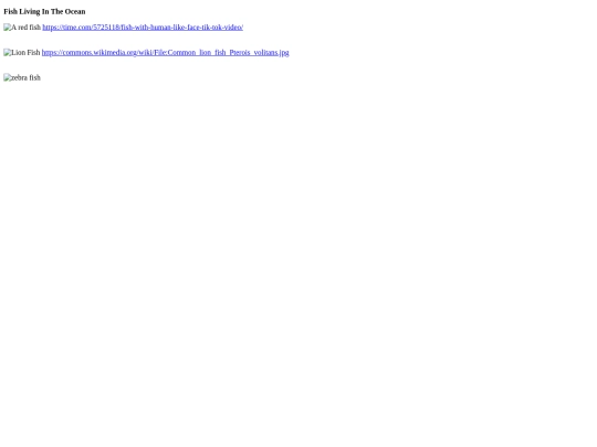 gallery screenshot