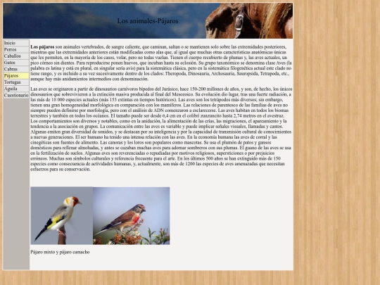 pajaros screenshot