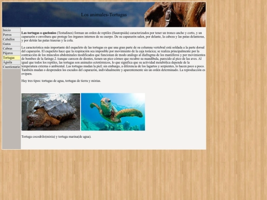 tortugas screenshot