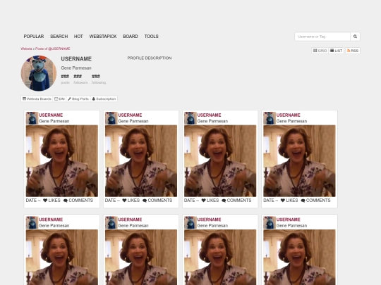 socialmedia/websta screenshot