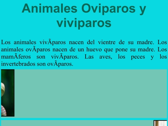 Animales oviparos y viviparos screenshot