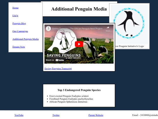 penguin_video screenshot