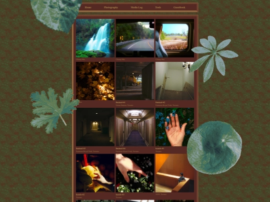 photography screenshot