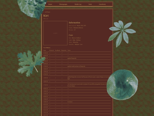 plants/kiri screenshot