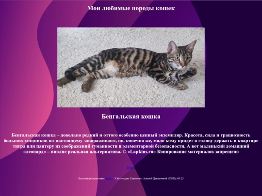 cat2 screenshot
