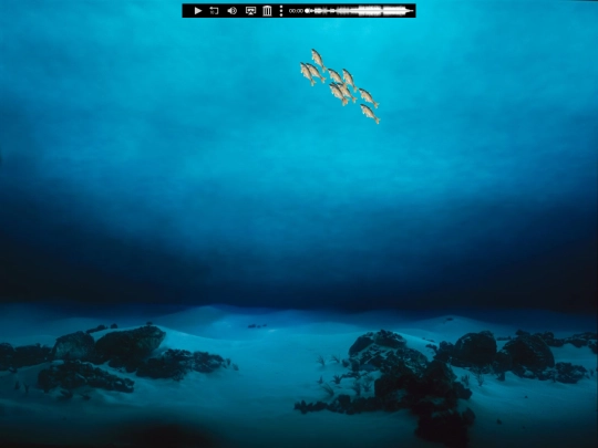 water screenshot
