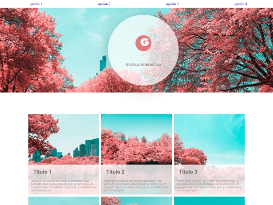 Examen/plantilla screenshot