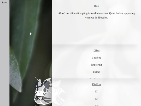 Brio screenshot