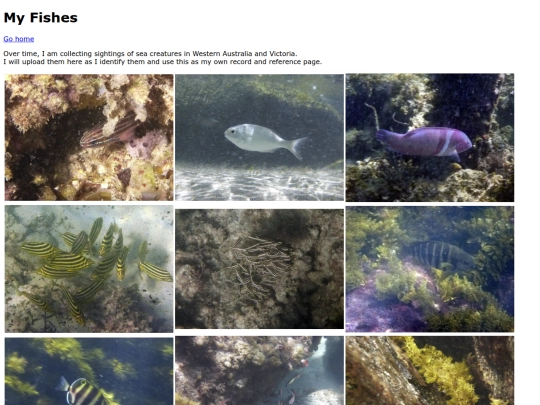fish screenshot