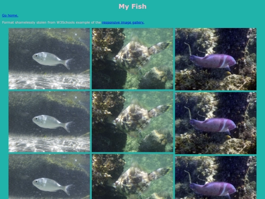 fishCol screenshot