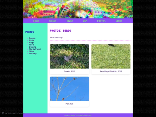 content/content_photos/photos_birbs screenshot