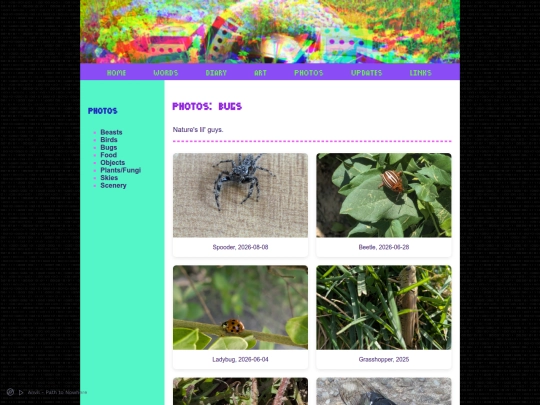 content/content_photos/photos_bugs screenshot