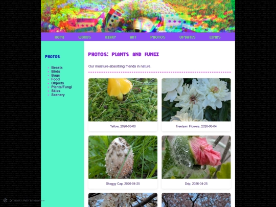 content/content_photos/photos_plantsfun screenshot
